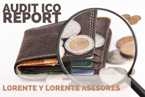 economic audit ico report